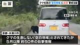 今年初めてクマが目撃された「空白地域」の京都・木津川市でパトロール始まる 5月以降約50件の目撃情報などが寄せられる |TBS NEWS DIG