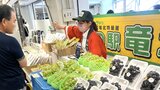 「シャインマスカット」に「晩白柚ゼリー」 出荷先を失った激震地の農家を “食” で直接支援! 熊本・鶴屋百貨店|TBS NEWS DIG