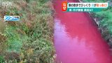 「いつもの散歩コース脇の川が赤い…」一体なぜ?原因不明も「人や環境への影響は確認されず」|TBS NEWS DIG