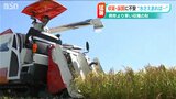 「枯れた稲を刈っている…」五百万石・コシヒカリ・こしいぶき… 避けられない収量と品質への不安 猛暑の中で早目の稲刈り|TBS NEWS DIG