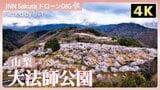 日本さくら名所100選！【JNN sakuraドローンDIG 2026】|TBS NEWS DIG