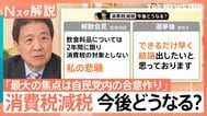“高市旋風”自民が歴史的大勝　「消費税ゼロ」「非核三原則」どうなる？“白紙委任状態”政策の行方は【Nスタ解説】|TBS NEWS DIG
