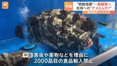 中国“台湾産禁輸”解除へ　台湾総統選挙まで50日切る　台湾産「ハタ」「釈迦頭」の禁輸 分かれる解除可否の背景| TBS CROSS DIG with Bloomberg