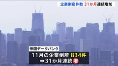 今年1年の倒産件数「1万件を超える可能性」 企業の倒産件数が31か月連続で増加　この10年で最多に| TBS CROSS DIG with Bloomberg