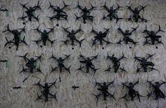 今週のEUサミット、ドローンの壁を協議へ－ロシアの領空侵犯相次ぐ| TBS CROSS DIG with Bloomberg