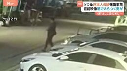 【独自】事故直前映像“酒の影響か ふらつく男が” 飲酒運転前“4件はしご酒” ソウル日本人母娘死傷　この事故受け警察取り締まり強化　韓国|TBS NEWS DIG