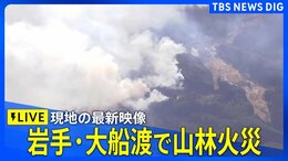 【空撮ライブ】岩手・大船渡で山林火災 男性1人の焼死体が発見(2025年2月27日)|TBS NEWS DIG
