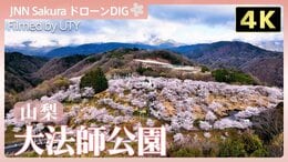 日本さくら名所100選！【JNN sakuraドローンDIG 2026】|TBS NEWS DIG