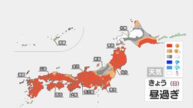 広範囲で晴れて春先らしい暖かさ 東京13℃で寒さ解消へ 関東や九州は花粉が極めて多い予想|TBS NEWS DIG