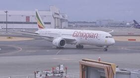 中東から退避の281人を乗せたチャーター機 第2便が日本に到着|TBS NEWS DIG