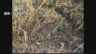 韓国軍「地雷は北朝鮮軍が埋設」　北朝鮮に謝罪と地雷除去を要求　爆発事故で最終調査結果| TBS CROSS DIG with Bloomberg