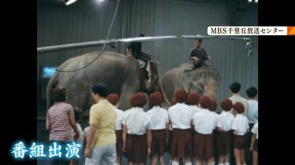 ゾウ16頭が街中を大行進？52年前に開催の「大阪万博」ゾウが