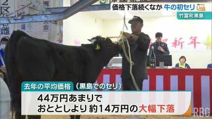 今年も厳しい畜産経営に」黒島で子牛の初セリ 1頭116万円超の取引が