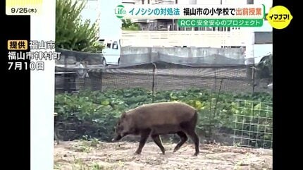 イノシシに遭遇したら？ 小学校で出前授業 対処法学ぶ 2025年度はまだ