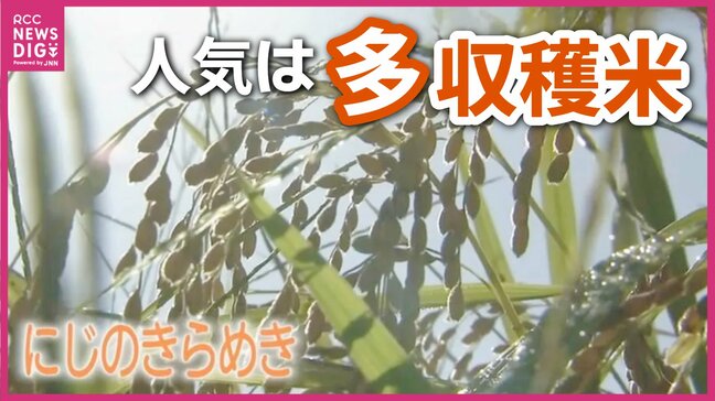 広島の農家が「コシヒカリ」を捨て始めた!?2026年米価暴落の危機を救う“多収穫米”への大転換|TBS NEWS DIG