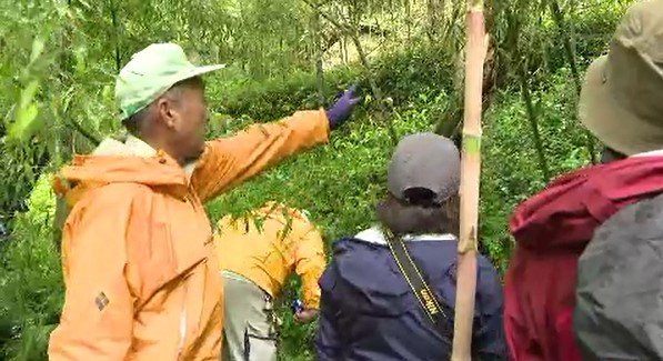 「クマが隠れて過ごすには居やすい場所」クマによる死傷事故を受け集中点検　26日だけで6件の目撃情報　市は「クマ出没警戒警報」　長野・大町市|TBS NEWS DIG