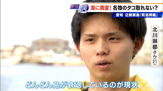 日間賀島でタコが取れない？…海水温上昇で｢死活問題｣に もがき奮闘する21歳若き漁師が仕掛けるブランド化戦略　愛知|TBS NEWS DIG