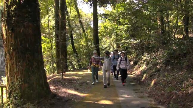 龍馬ハネムーンウォークin霧島「春の雰囲気を感じながら」 鹿児島|TBS NEWS DIG