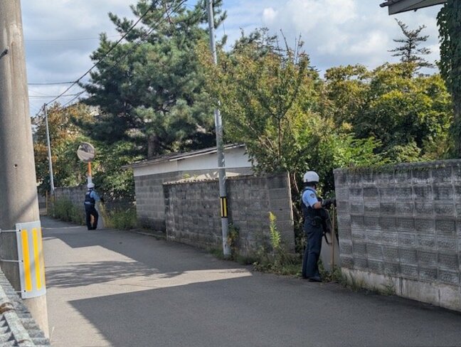 米沢市の住宅街・住宅敷地のやぶにクマ2頭を確認　ドローンカメラで（山形）|TBS NEWS DIG