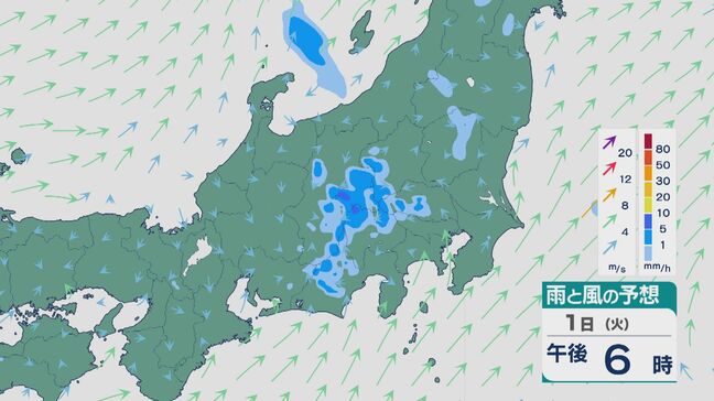 “太平洋高気圧の東側” 関東などでは北西よりの風で暖かく湿った空気が流れ込み大気の状態が非常に不安定に 東海や関東では帰宅時間に「急な雷雨」が強まるおそれ 雨と風シミュレーション|TBS NEWS DIG