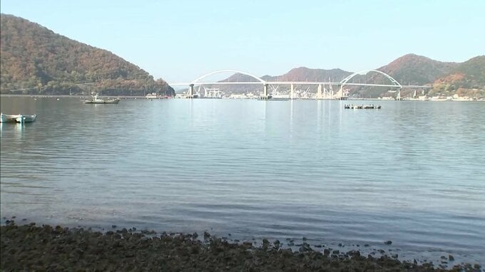 “海のゆりかご”アマモの植え付け　福山北RC　アマモ食べてしまうアイゴを使った料理も　広島|TBS NEWS DIG