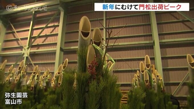 今年よりもいい年に…富山市で門松の出荷ピーク　富山県内の企業やデパートへ　|　富山のニュース｜天気・防災｜チューリップテレビ