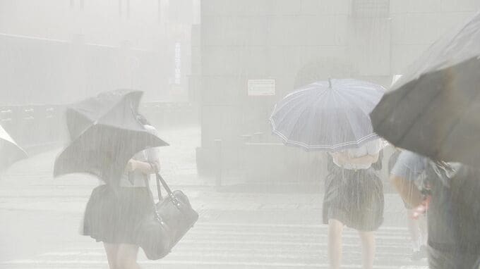ゲリラ雷雨 石川で1時間に61ミリの非常に激しい雨 金沢市では「倒木」で通行止めも　|　石川県のニュース｜MRO北陸放送