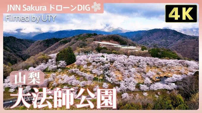 日本さくら名所100選！【JNN sakuraドローンDIG 2026】|TBS NEWS DIG