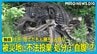被災地に「大量の走行用ベルト」不法投棄 処分は自腹？「捨てたもん勝ち」と住民憤り　|　石川県のニュース｜MRO北陸放送