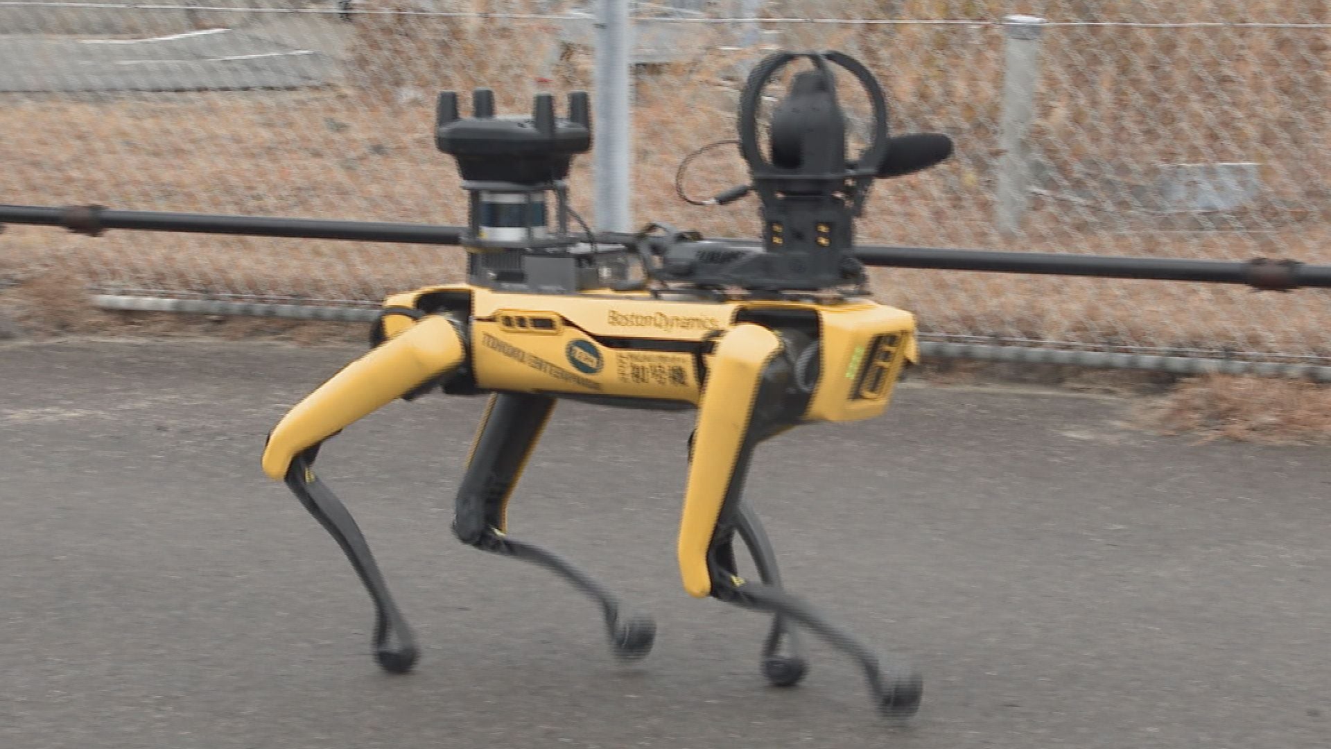 犬型ロボットで空港警備の実証実験 搭載されたカメラで不審者を検知