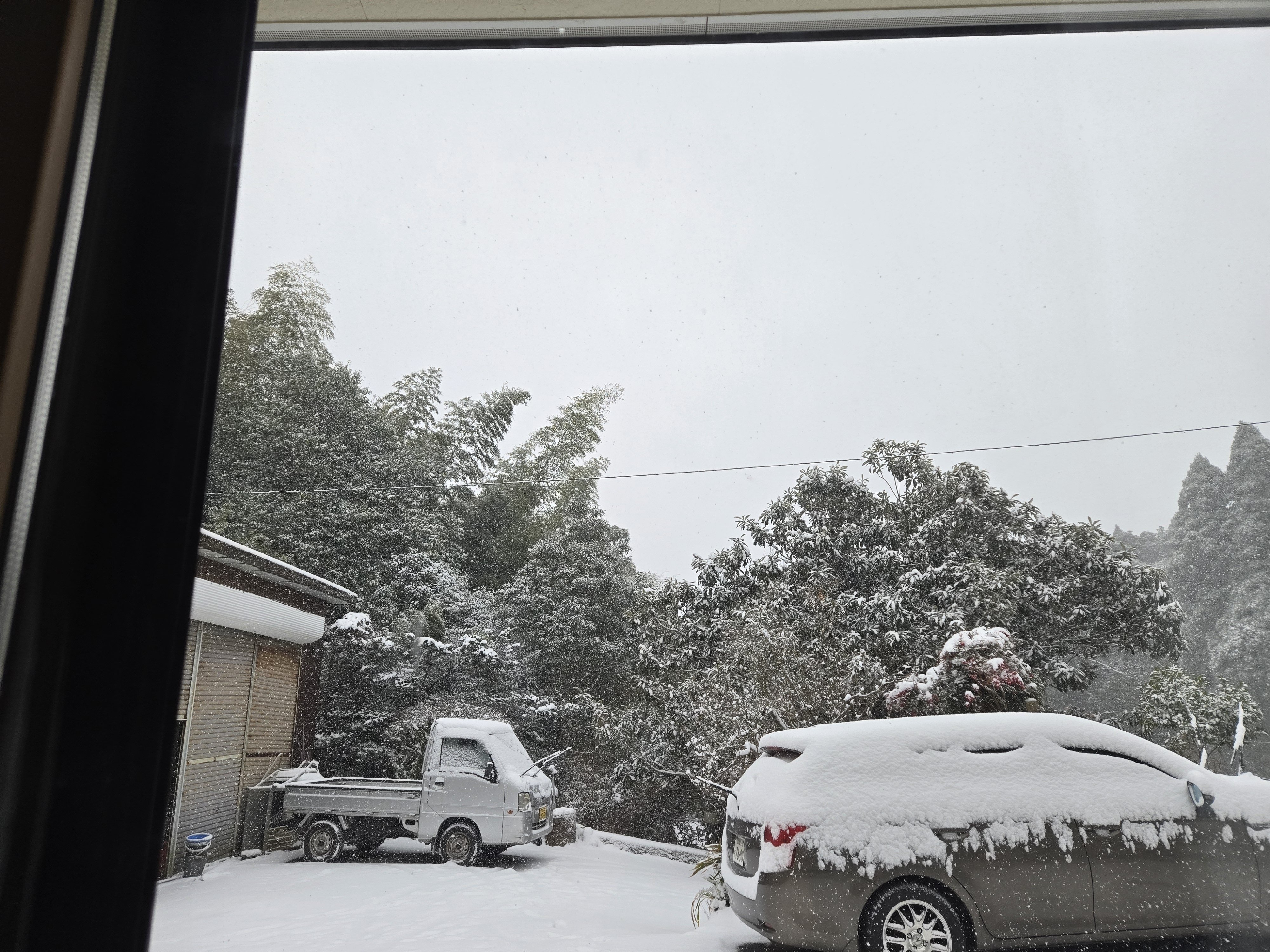 積雪で国道など通行止め 海の便に欠航便 | 鹿児島のニュース｜MBC NEWS