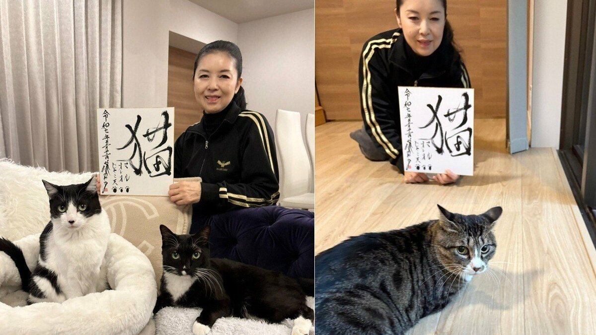 ねこ 】藤あや子さん選定「今年の漢字」は「猫」 今年は「じゃこ天」も