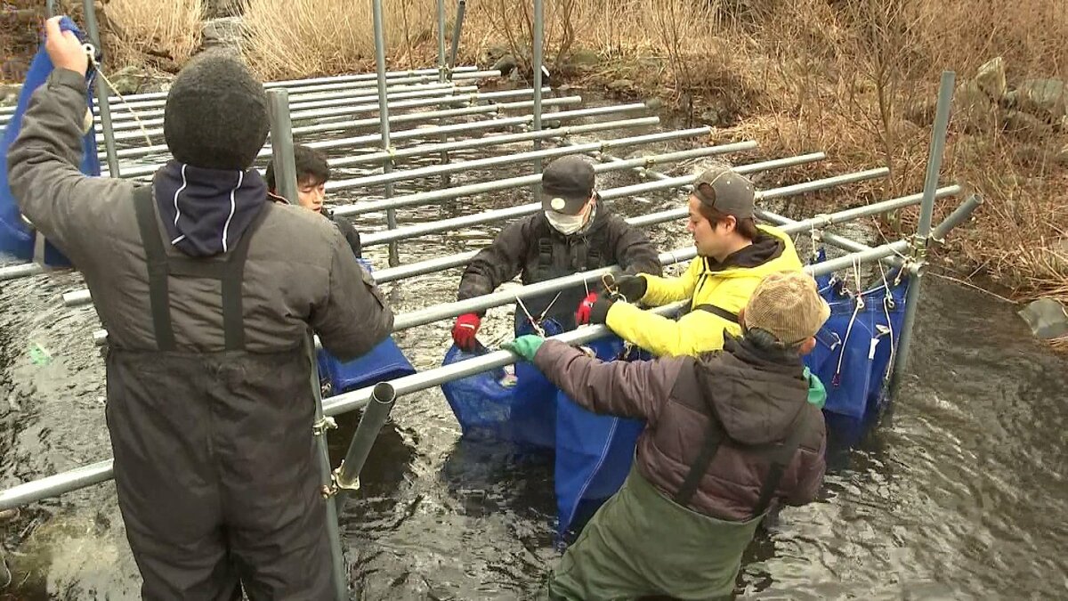 「のどごしの良い甘みのあるそばに」真冬の清流にソバの実浸す“寒ざらしそば”仕込み作業 宮城・川崎町 | TBS NEWS DIG フォトギャラリー