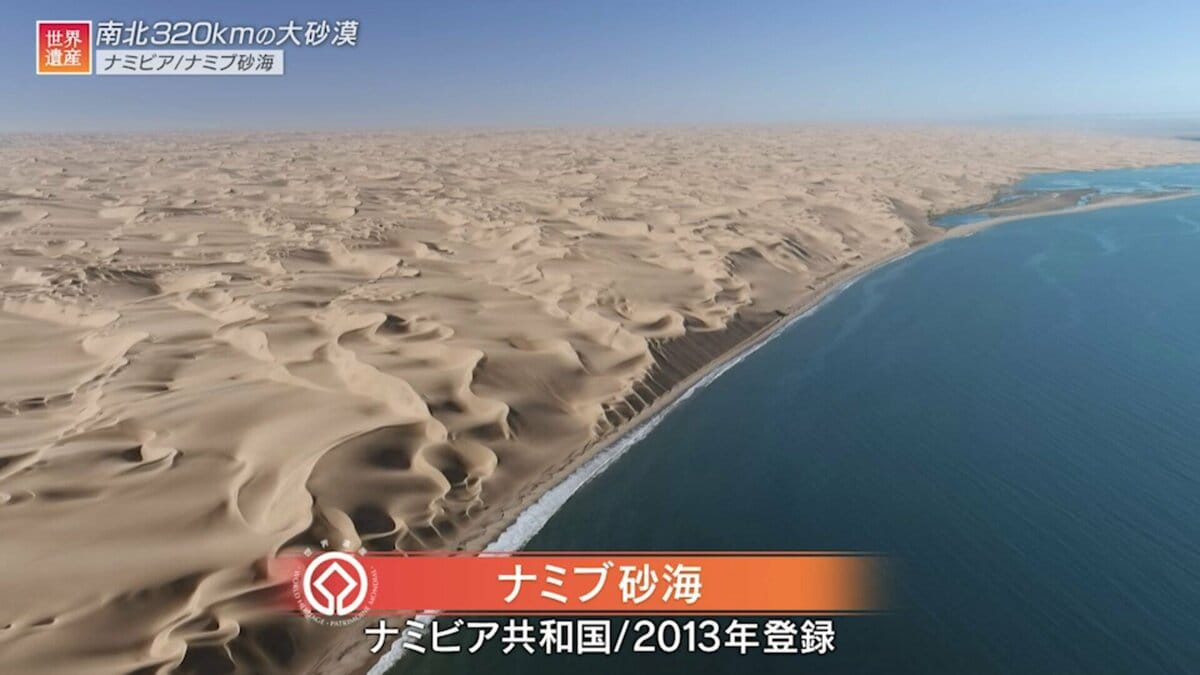 ササラ砂漠 Sahara Sand Gray 12 x 24 Matte Travertine Look Floor