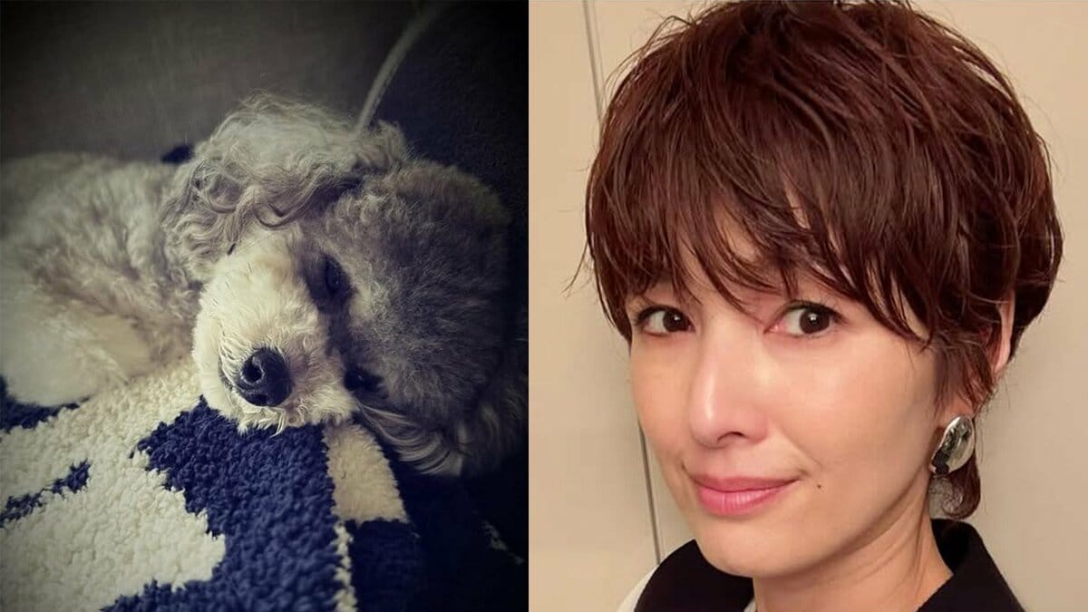 吉瀬美智子】 1歳10か月の愛犬との別れ「短過ぎるけど、沢山の