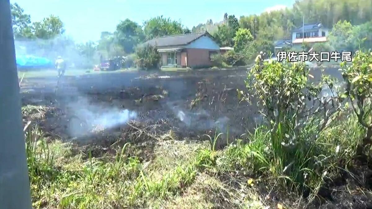 県本土で枯れ草火災相次ぐ「乾燥注意報」火の取り扱いに注意