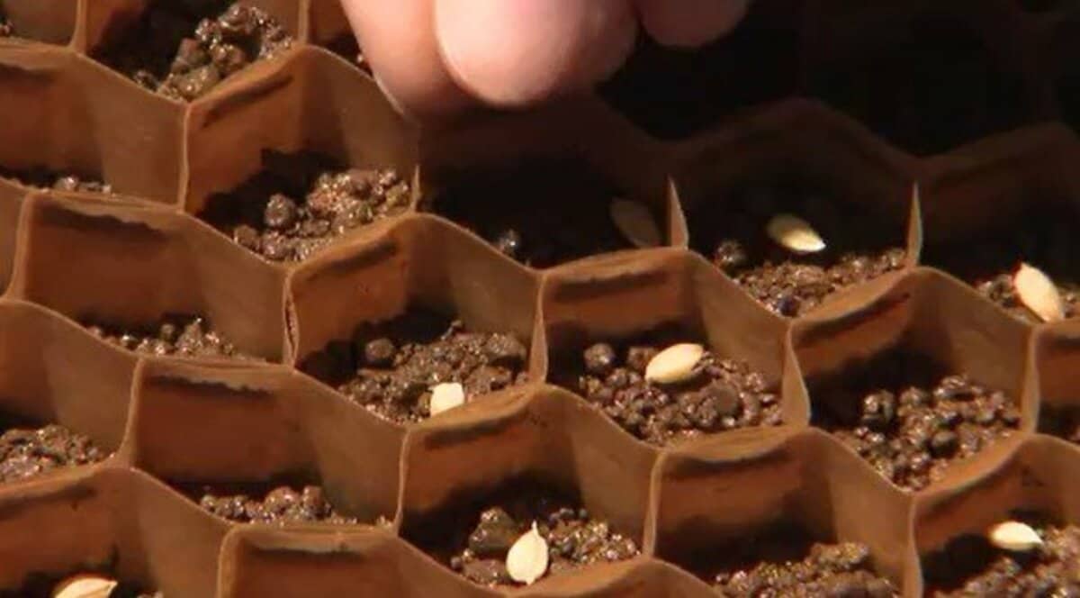 宇宙の恵みで日本酒を楽しむ！未来の一杯を期待しよう