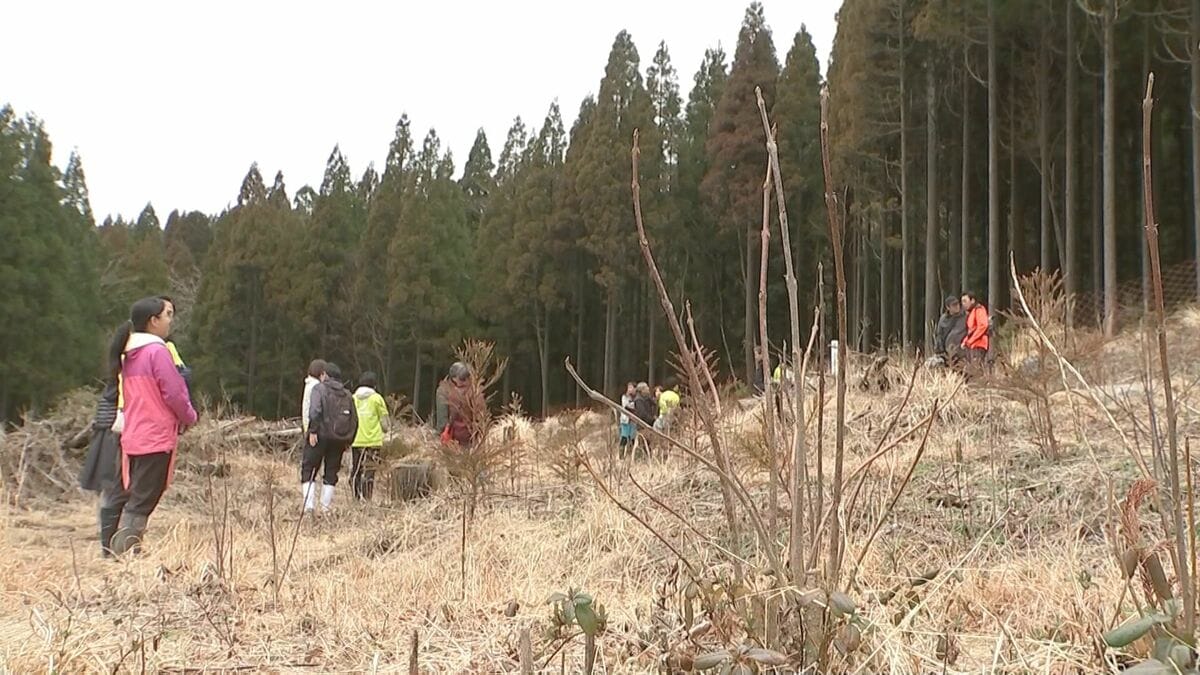 「ソラシドの森」が環境省の自然共生サイトに認定　大分・日田市