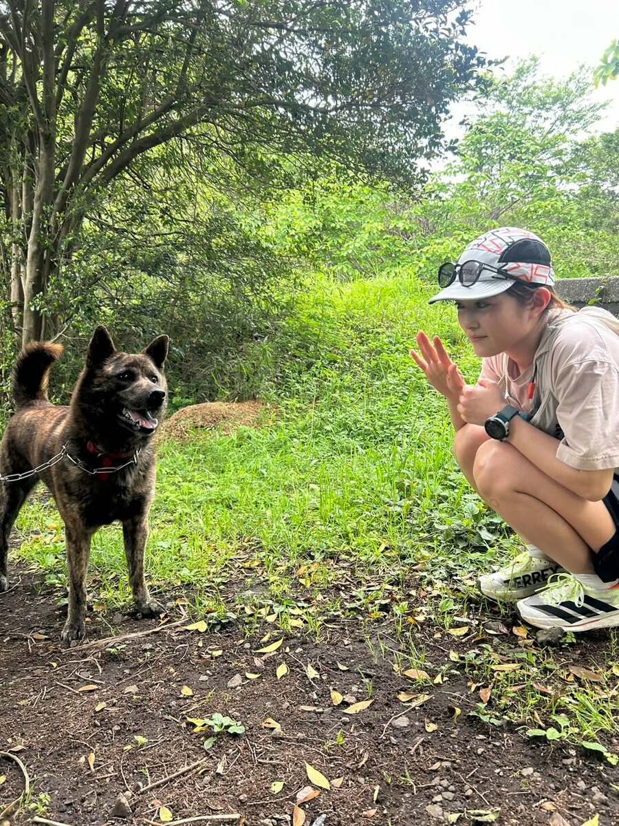 犬ちゃん 紹介しまーす！！！ #ウィン #ビーグル #ファン #ニューファンドランド