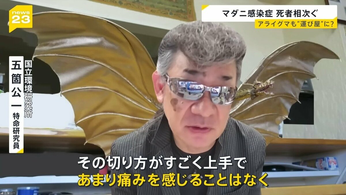 高い致死率“マダニ感染症” 西日本中心から関東地方にも… 専門家「野生動物が運び屋の可能性」 感染を防ぐ対策は？【news23】（TBS NEWS  DIG）｜ｄメニューニュース（NTTドコモ）
