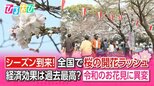 “1人でお花見”3割 “歩きながら”が7割超え!?令和の花見に異変!最新お花見事情【ひるおび】|TBS NEWS DIG