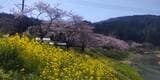 「復旧・復興への歩み着実に」 石川県輪島市町野町出身のシナリオライターが見つめる“ふるさと”の今|TBS NEWS DIG