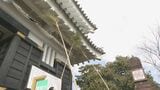 岐阜城で年末恒例の「すす払い」 特製ほうきで丁寧に 今年は抽選で選ばれた市民らが参加|TBS NEWS DIG