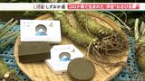 ピリリ、とはしませんが…ツーンと香るわさびの皮を使った石鹸【しずおか産】 | 静岡のニュース | SBSNEWS | 静岡放送