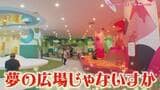 “ネクストブレイク”のハイテク遊具!?大型犬専門ドッグカフェも!雨の日も満喫できる進化系“室内遊び場”とは|TBS NEWS DIG