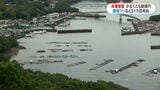 長島町の赤潮被害　養殖ブリなど31万匹が死ぬ　全容わからず被害さらに増え数億円以上か　鹿児島|TBS NEWS DIG