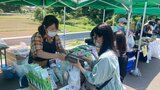 佐伯市本匠で新茶まつり 江戸時代から伝わる釜炒り製法の「因尾茶」と「宇目茶」をPR 大分 | 大分のニュース|OBS NEWS|大分放送