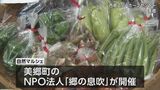 地元の魅力を体験　美郷町で「自然マルシェ」　|　MRTニュース ｜ ＭＲＴ宮崎放送