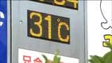 仙台31.9度など今年一番の暑さ この暑さいつまで続く tbc気象台|TBS NEWS DIG