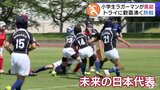 トライに歓喜！『うみねこカップ』熱戦に沸く　小学生ラガーマン約220人が集結「いろんな人と戦えて楽しい！」|TBS NEWS DIG